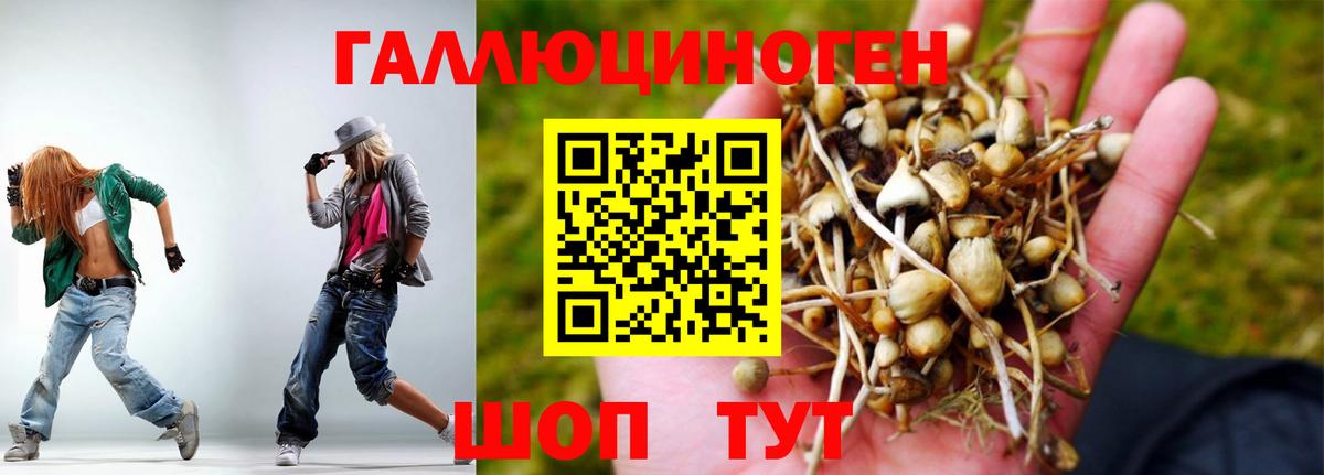 Бутурлиновка  Галлюциногенные грибы Cubensis  Вход с VPN  Галлюциногенные грибы GOLDEN TEACHER 